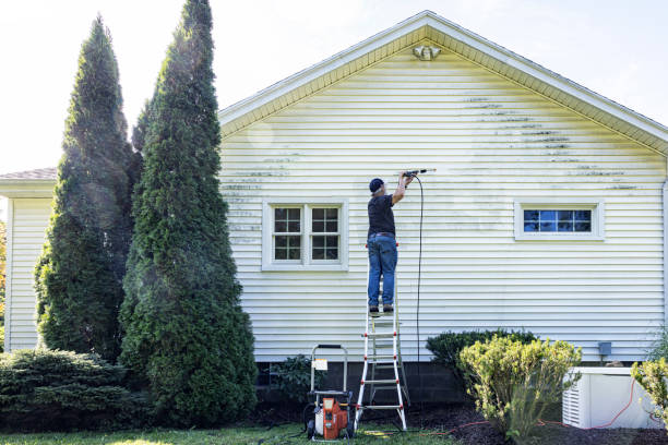 Best Sidewalk and Walkway Cleaning  in Moss Beach, CA
